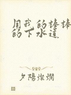 用我的棒棒通你的下水道