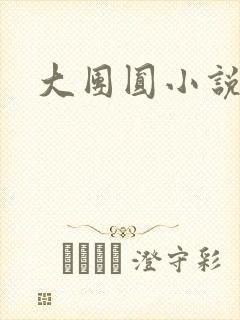 大团圆小说