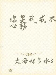 你是我戒不掉的心动