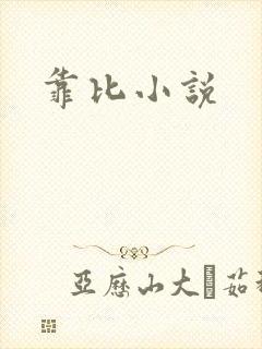 靠比小说