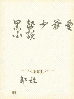 黑帮少爷爱上我小说