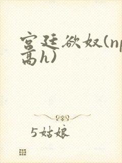 宫廷欲奴(np高h)