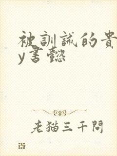 被训诫的贵妃by书懿