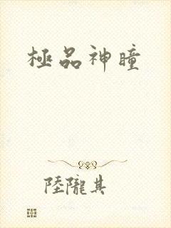 极品神瞳