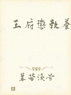 王府惩教养日常