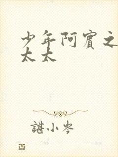 少年阿宾之房东太太