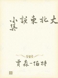 小说东北大炕全集