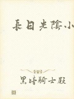 长日光阴小说
