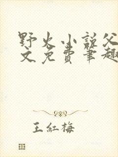 野火小说父女全文免费笔趣阁