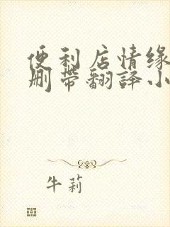 便利店情缘未增删带翻译小说