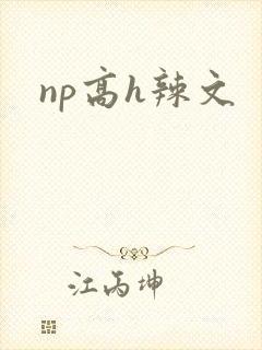np高h辣文