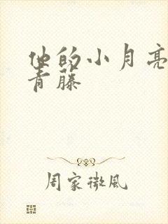 他的小月亮by青藤