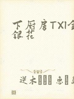 下厨房TXl金银花