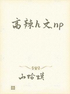 高辣h文np