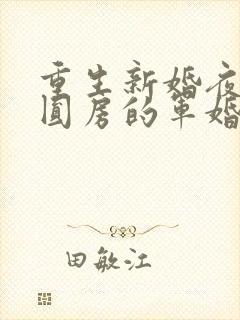 重生新婚夜正在圆房的军婚