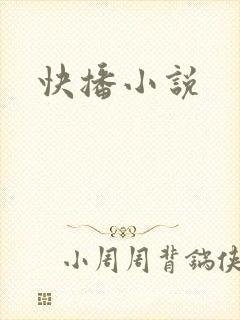 快播小说