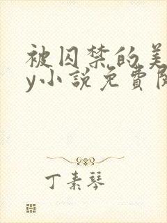 被囚禁的美人by小说免费阅读