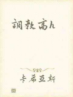 调教高h