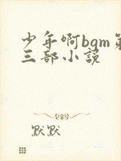 少年啊bgm第三部小说
