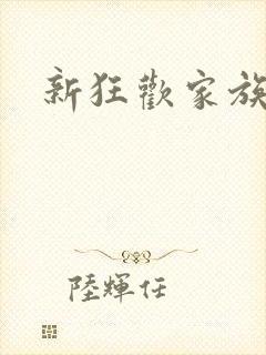 新狂欢家族小说