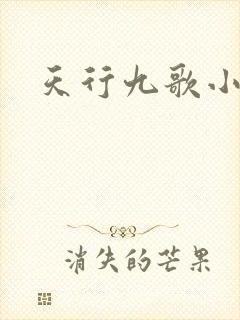 天行九歌小说