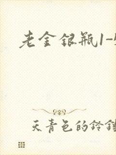 老金银瓶1-5