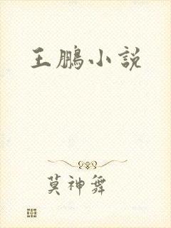 王鹏小说