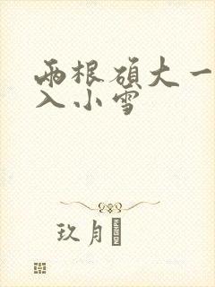 两根硕大一起挤入小雪