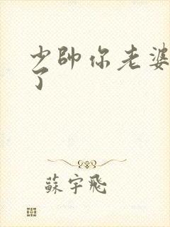 少帅你老婆又跑了