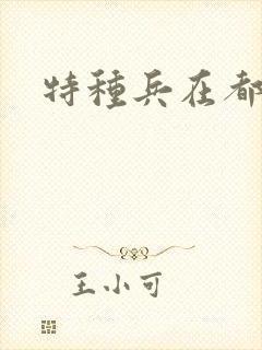 特种兵在都市