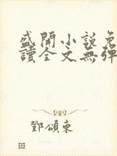 盛开小说免费阅读全文无弹窗