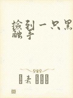 捡到一只黑心小触手