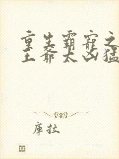 重生霸宠之摄政王爷太凶猛