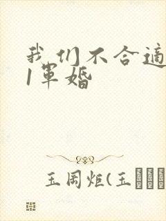 我们不合适1v1军婚