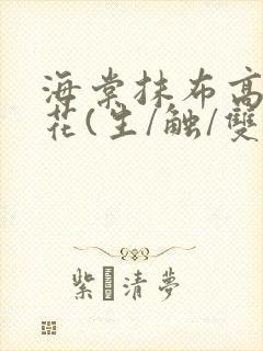 海棠抹布高岭之花(生/触/双)