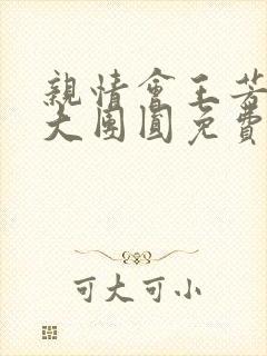 亲情会王芳高敏大团圆免费阅读