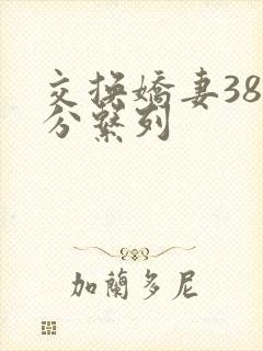 交换娇妻38部分系列