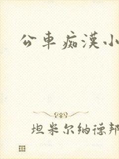 公车痴汉小说