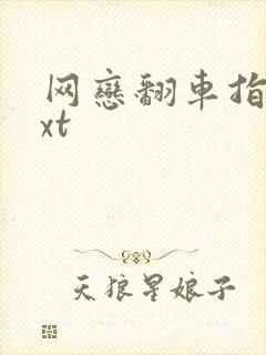 网恋翻车指南txt