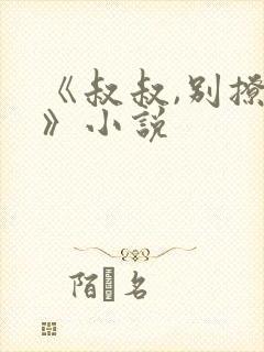 《叔叔,别撩我》小说