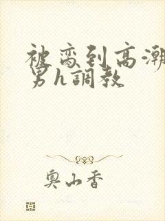 被脔到高潮的直男h调教