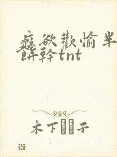 瘾欲欢愉半块小饼干tnt