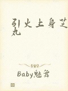 引火上身芝麻糖丸