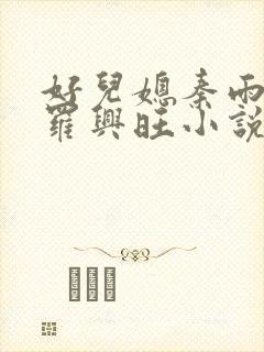 好儿媳秦雨罗明罗兴旺小说