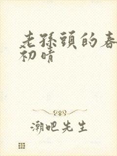 老孙头的春天林初晴