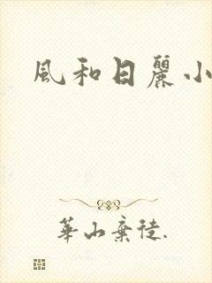 风和日丽小说