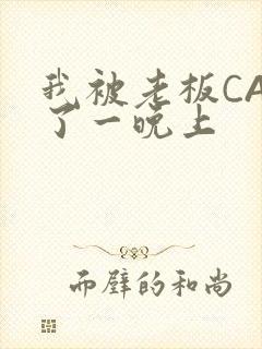 我被老板CAO了一晚上