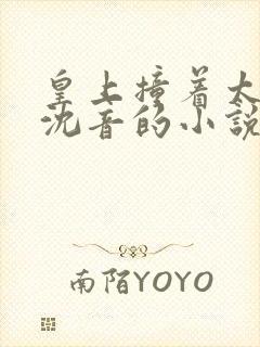 皇上撞着太子妃沈音的小说叫什么