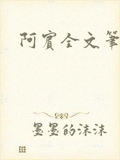 阿宾全文笔趣阁