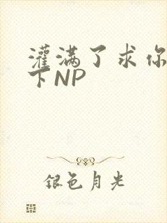 灌满了求你们停下NP